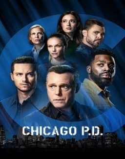 Chicago Police Department saison 1