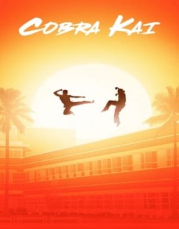 Cobra Kai saison 1