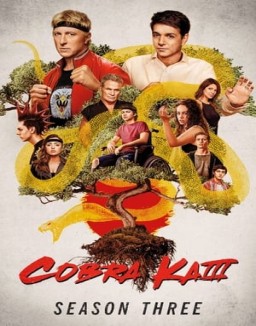 Cobra Kai saison 3