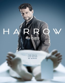 Dr Harrow saison 1